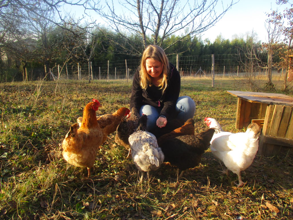 Marie entourée des poules, leur donne à manger à la Ferme des Milans. Ferme pédagogique Reyniès Tarn-et-Garonne 82 prés de Toulouse